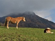 17 E adesso salgo sul Monte Gioco sperando che le nubi di vetta si diradino